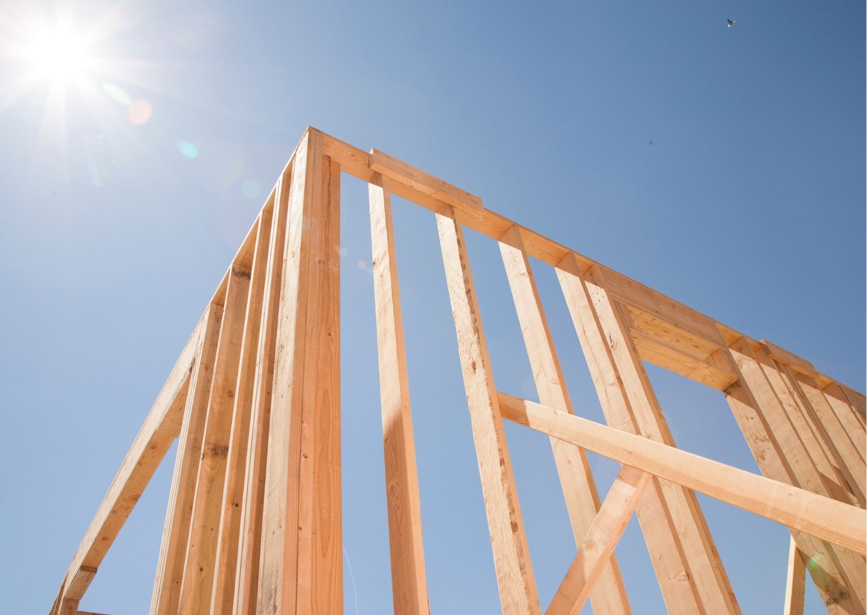 Новый резидент ТОСЭР запустит в Лесном производство материалов для деревянного домостроения