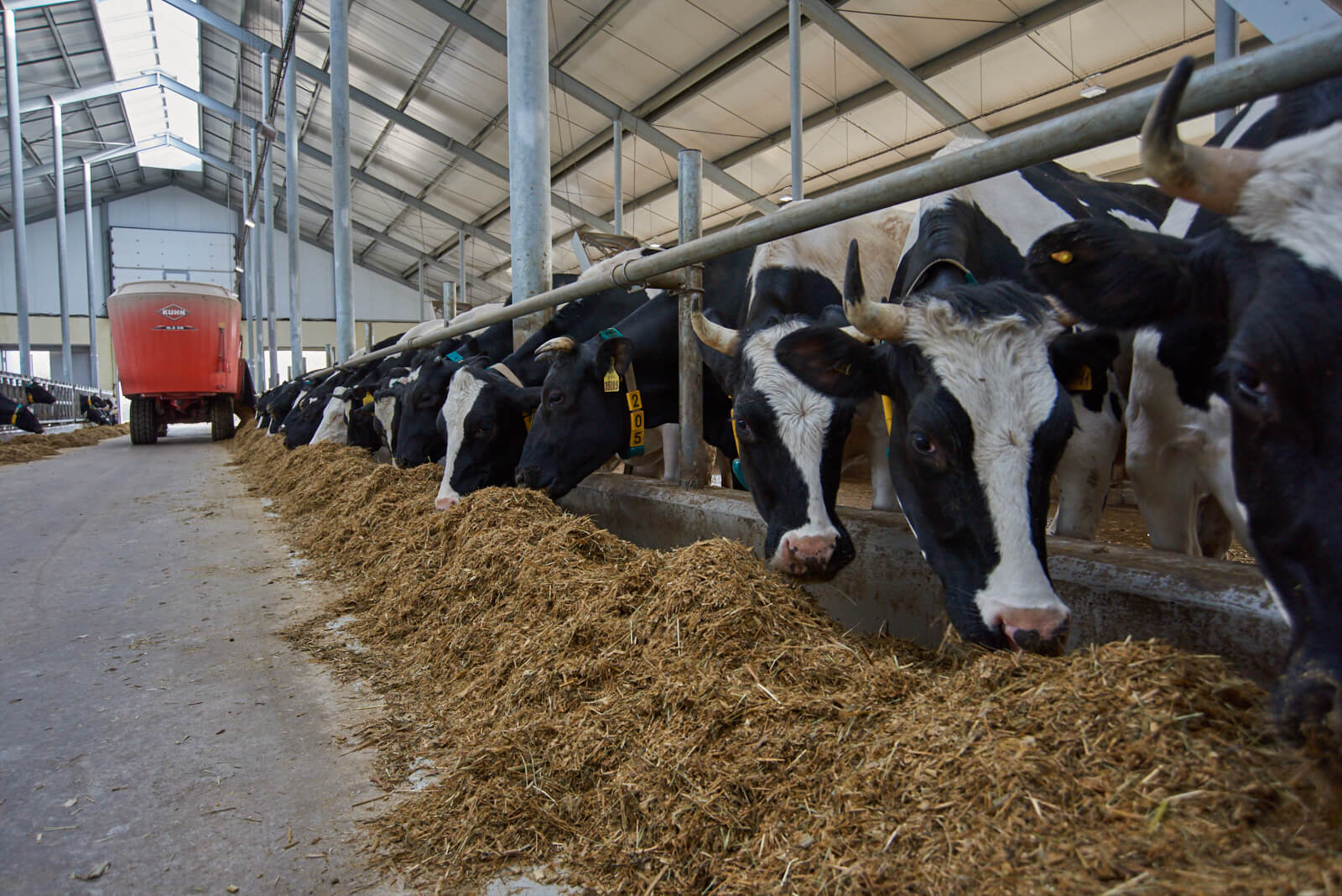 Строительство молочно-товарной фермы на 1800 фуражных коров ООО «Ударник»