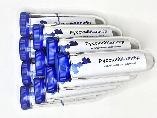 Проект из Свердловской области «РусскийКалибр» принял участие в форуме «Сильные идеи для нового времени» в 2025 году