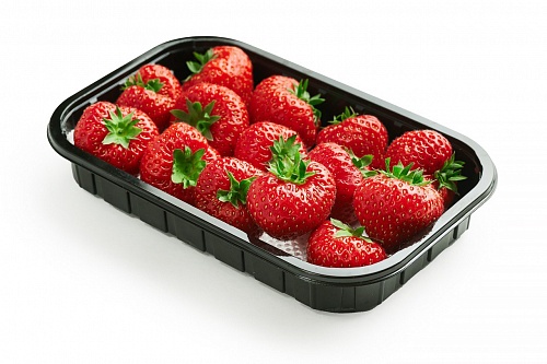 Уральский производитель клубники собрал в Екатеринбурге первый урожай 